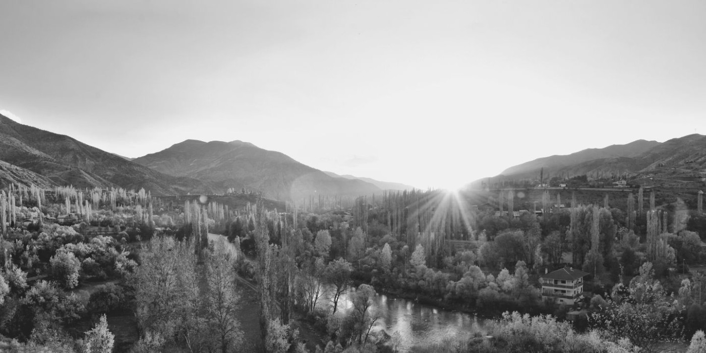 Il concetto stoico di vivere secondo natura
