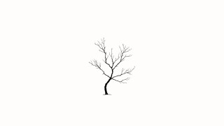 Sulla saggezza dell’inverno